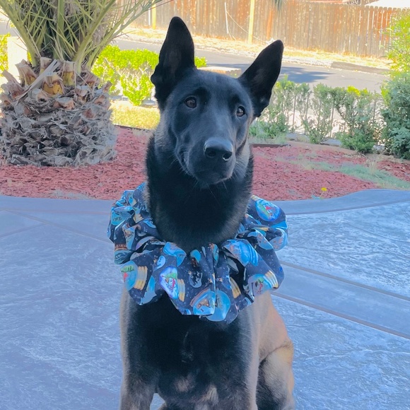 XL Dog Scrunchie for your best friend! - Picture 2 of 2